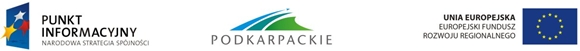 logo_punkt_podkarpackie
