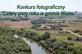Konkurs fotograficzny „Cztery pory roku w gminie Mielec”