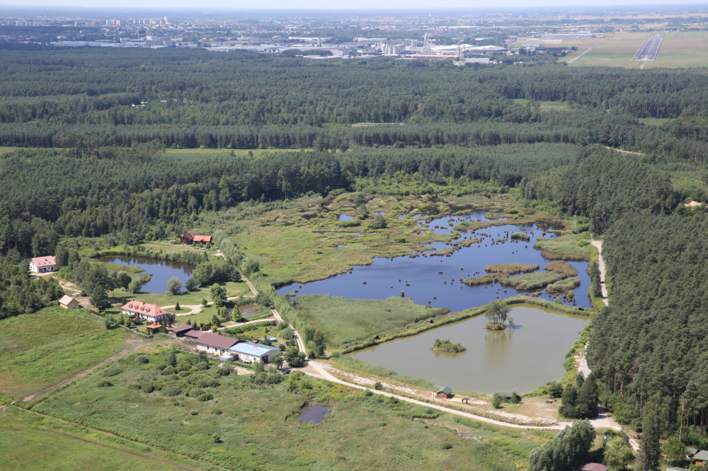 Widok z lotu ptaka na bagnisty teren między zielonymi drzewami w lesie. W oddali widać fabryki, bloki i pas startowy z lotniska